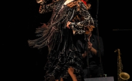 Los de la Noche - Flamenco gypsy Español (3)