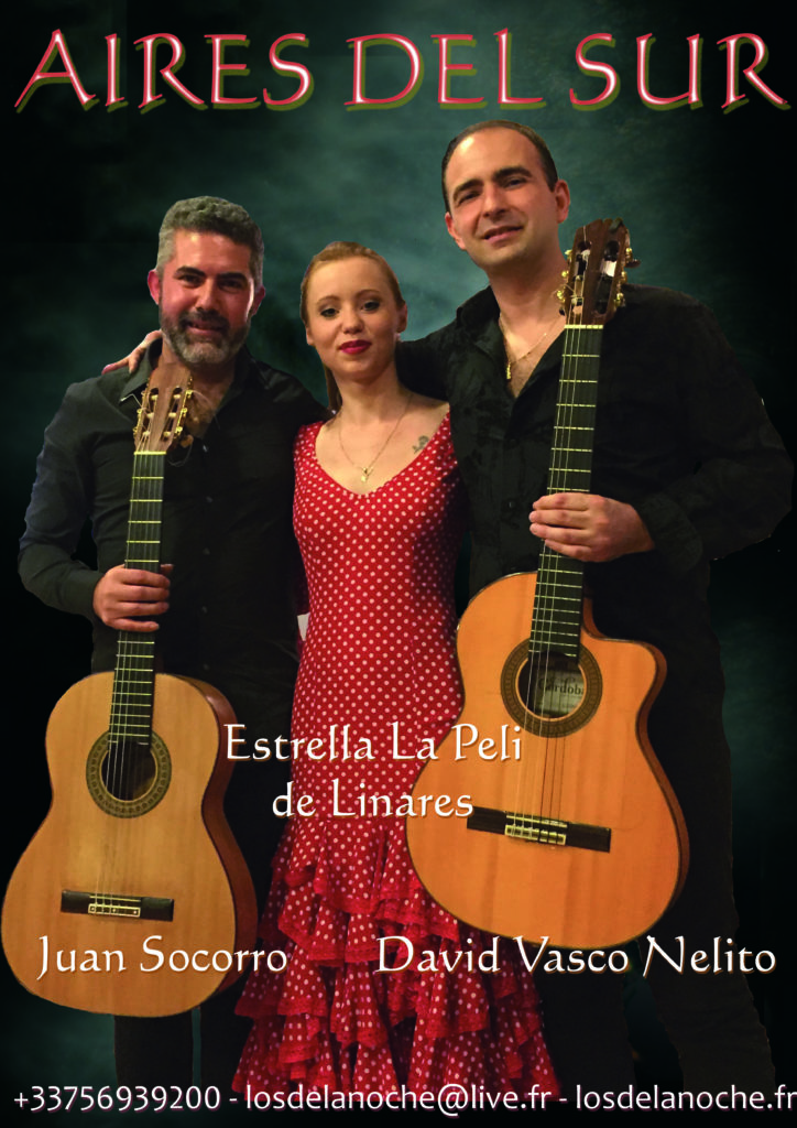 Aires del Sur Flamenco Gyspy Latino France Lille Paris Reims Lyon Strasbourg Metz Bordeaux Marseille